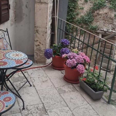 Apartman Zen In The Centar Of Šibenik Exteriör bild