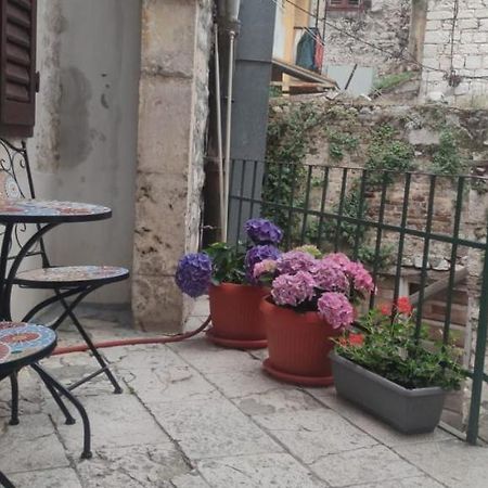 Apartman Zen In The Centar Of Šibenik Exteriör bild